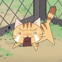호잇짜!🐈‍⬛ (@hoitzza333) 's Twitter Profile