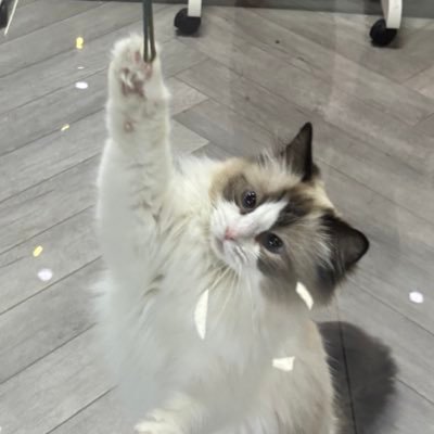 yng163268493159's profile picture. 我被平台限流了，希望大家能多多转发我的作品🥲 🚫禁止AI ／私自搬运其他平台。