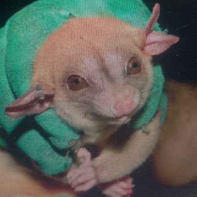 Marcando presença na Bio 22 pq estudar é uma palavra muito forte 🙏🏻🦠