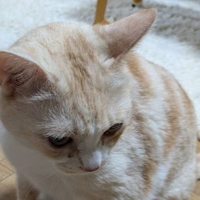 kurokami324city's profile picture. 今はこっちしか使ってないです

自己満足呟き