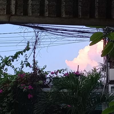 kellyngo207's profile picture. Be my self! :3