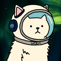 woem (@woemerew) 's Twitter Profile Photo