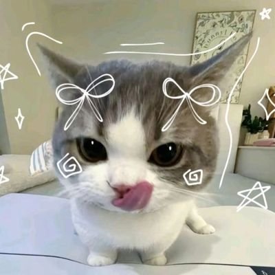 มีมารยาท สุภาพ ค่อยทักนะคะ รู้ตัวว่าสันดานไม่ดีก็อย่า DM มาค่ะ ลำไย!!!!
