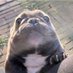 butler (@peppermnt_butlr) Twitter profile photo butler (@peppermnt_butlr) Twitter profile photo
