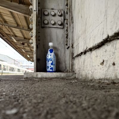1936meters's profile picture. わこん 2回生