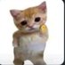 Phil Monta (@philmonta52531) Twitter profile photo Phil Monta (@philmonta52531) Twitter profile photo