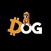 DF 89 - Dog (Bitcoin) ๐งก (@feiner_david) Twitter profile photo DF 89 - Dog (Bitcoin) ๐งก (@feiner_david) Twitter profile photo