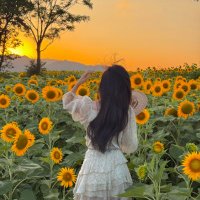 ひな (@whqfexy) Twitter profile photo
