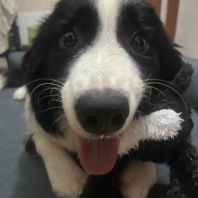 TiaoNian22997's profile picture. 