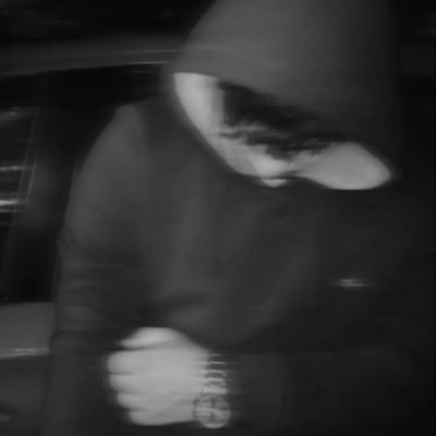 Turtlefx_'s profile picture. 