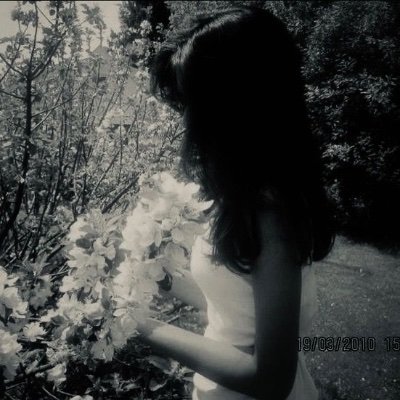 wicq11's profile picture. 