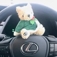メリー チャート分析【金融トレーダー】 (@merry1_pt) 's Twitter Profile