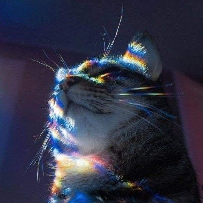 blarptech's profile picture. 🏳️‍⚧️
Studying mathematics to better hit p100 in the afghan drug market.