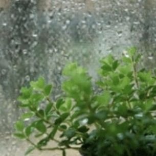 kai_pae's profile picture. 🖐️ ✦ 🇰🇷