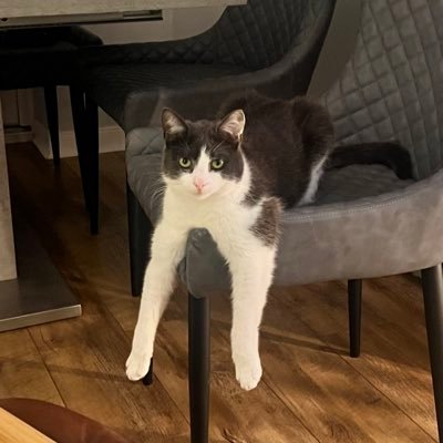 grasscutter32's profile picture. 