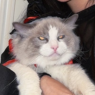 tk_27_47's profile picture. 