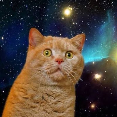 v9_v4e's profile picture. cheesy cow and hysteria pigs farm