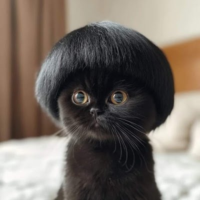 Name888_888's profile picture. 