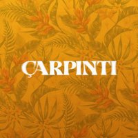 Çarpıntı (@carpintitvdizi) 's Twitter Profile Photo Çarpıntı (@carpintitvdizi) 's Twitter Profile Photo