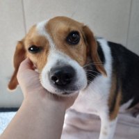 Pally_pp (@pally_pp) 's Twitter Profile