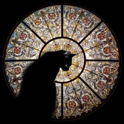 fcxsa001's profile picture. 10年B圈佼易经验，实时更新B圈最新资讯，不做频繁箪，不做熬夜箪，不做爆仓箪，只做翻仓箪 🔸邀请长期交易伙伴，白嫖交易策略  Bn广场：交易猿阿泽 玎钉：jjyaze1 企鹅🐧：527516657 Telegram:@jyyaze  商务可谈