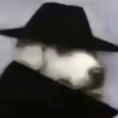 Mestre Do Link Profile