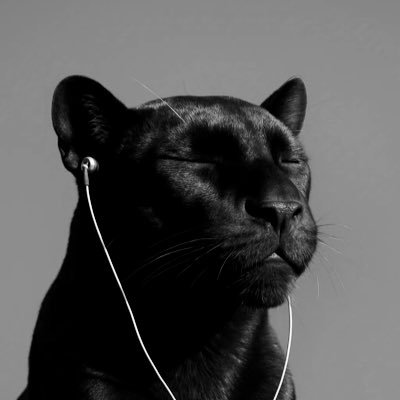 aryanarya_1's profile picture. love asking questions