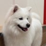 mimithrough8714's profile picture. 今までいっぱい優しくしてくれて喜ばせてくれてありがとう蓮くん