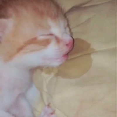 eagleflower_'s profile picture. hidup ngikutin masa tenggang