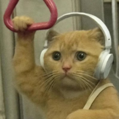 1besxtjaa's profile picture. sknn