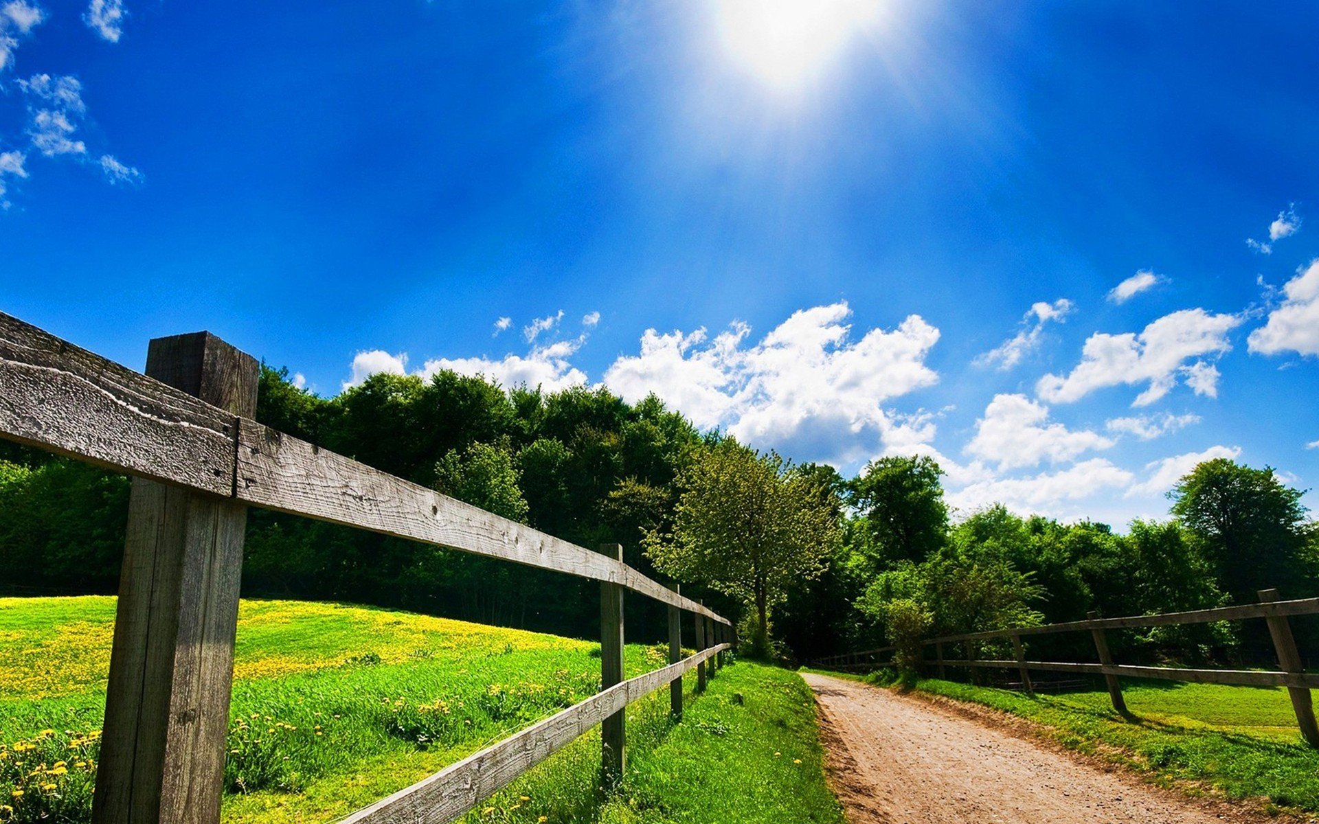 ahmet_yuksel21's profile picture. 印度代购双效伟哥QQ:1670816926#印度药 #伟哥 #万艾可 #希爱力 #艾力达 #必利劲 #印度伟哥 一手货源印度直采，国内上门派送，多问一句不吃亏，无效退款！