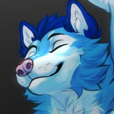 Fluke Husky Profile