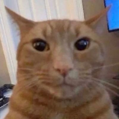 TaiBo2779's profile picture. One day they'll realize they lost a diamond while playing with worthless stone