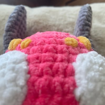 SILKSONG SPOILER FREE ACC, annoying about the pink thing, dms open !! :), typical DNIs (no feral nsfw Please), she/her, AuDHD, 20, check pinned, :)