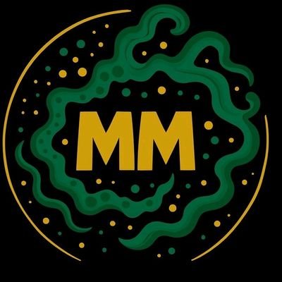Official Twitter Account of Multiverse Email: charlesmurphy@murphysmultiverse.com YouTube: https://t.co/atqx4tenT6…