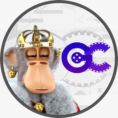 CEO & Founder – @Glitchcraftsa 🎮 Play it. Own it Founder – @Debonairape (sold‑out)