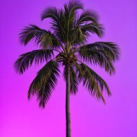 قواطر العربي (@qwater120) 's Twitter Profile Photo