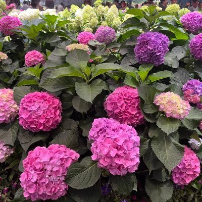 Sweet_Bike_'s profile picture. やさしい暮らしの中で、自分だけのリズムを探しています🕊️