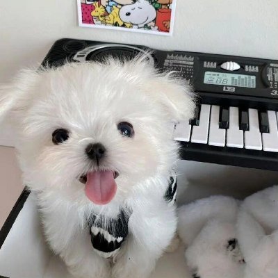 yume_melo_'s profile picture. 私は格闘技が大好きな30代の女性です。