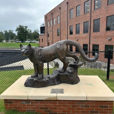 Cougars4Life Profile
