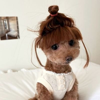 chrcherie's profile picture. ปิดเมนชั่น = ปิดรับ #น้องcherเปิดออม