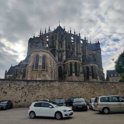 D_djok305967's profile picture. 