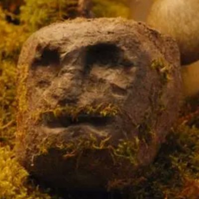 StoneTheBoulder's profile picture. Stone - Mushroom Planet - Literally just a rock
https://t.co/G1mGIH1ga2
