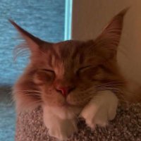 masonnn (@t4ke_a_j0ke) 's Twitter Profile Photo