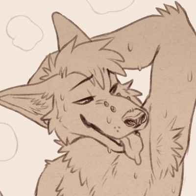 Gatovoladores3's profile picture. an active and horny raccoon