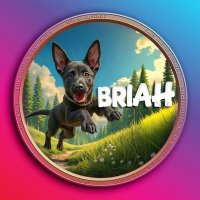 Briah On Pulsechain (@briahonpulse) 's Twitter Profile