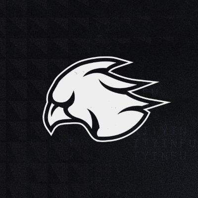 INFURITY GAMING Profile