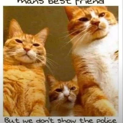 Shanksyboy77's profile picture. Freedom and games.