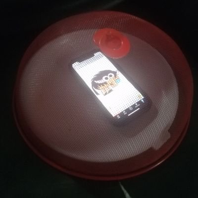 pohnpei322315's profile picture. 