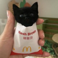 Vasya~ ๐ท๐บ (@tymofeeth) 's Twitter Profile